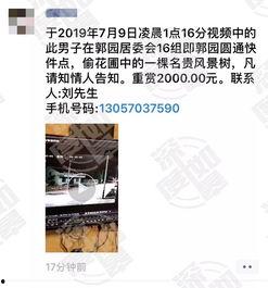 网络最新爆料视频大全集,视频大全集深度解析